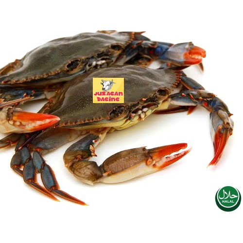 Kepiting Soka Frozen 1 Kg Harga Special Shopee Indonesia