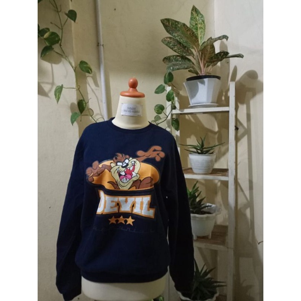 Looney Tunes Dark Blue, Crewneck, sweater, Original Second