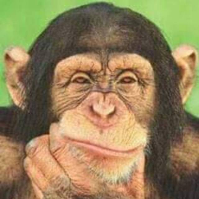 oemarliansya123456789012345678