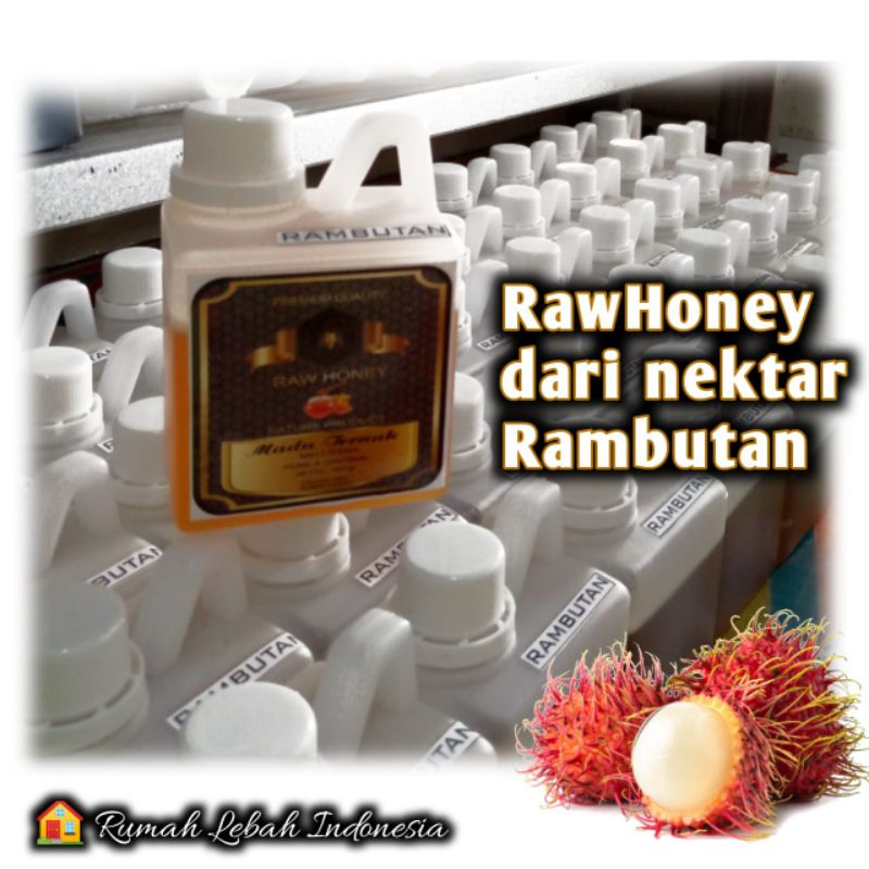 

Madu ternak Multiflora kaliandra /Rambutan