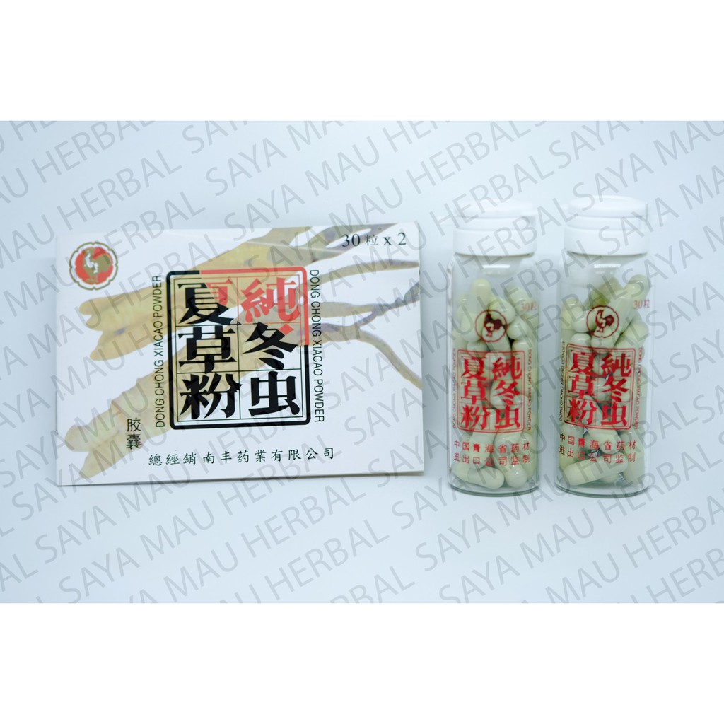 

Cordyceps Dong Chong Xia Cao Powder