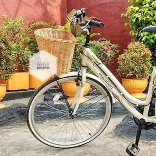 Keranjang sepeda/ keranjang sepeda rotan / keranjang rotan –PGR.01Jl22c