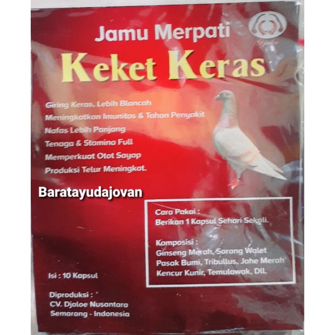JAMU MERPATI KEKET KERAS SUPLEMEN VITAMIN DOPING JAMU BURUNG MERPATI ANGGUNGAN PERKUTUT DERKUKU PUTE