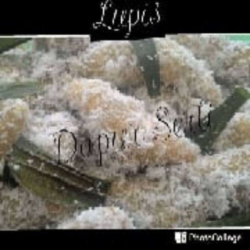 

LUPIS