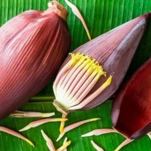 

Kembang Pisang bunga pisang murah