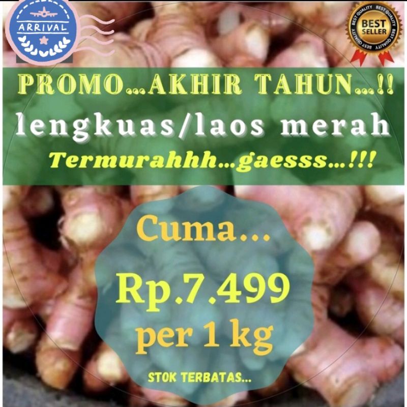 

Lengkuas per kilo