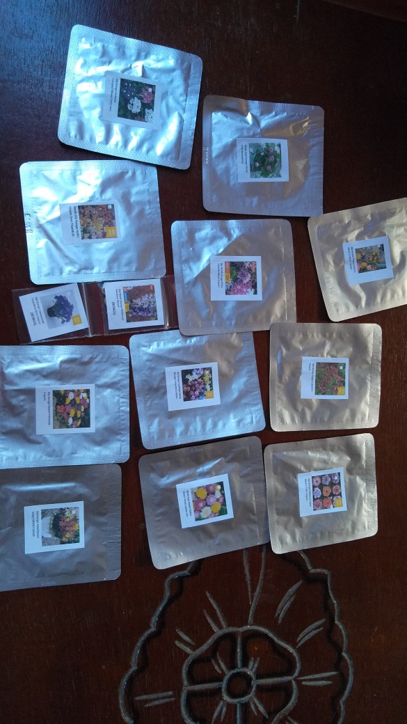 Benih Biji Bunga Antirrhinum Tom Thumb Mixed (very Easy To Grow)