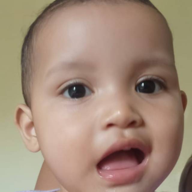 mohammad_albarik