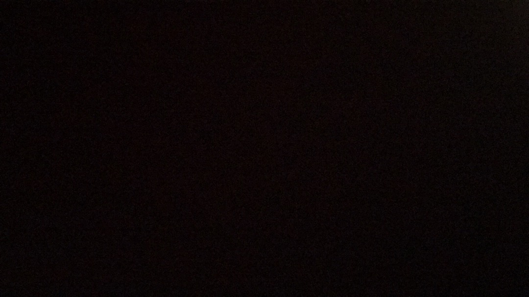 Bunga Kering Oson - Oson Violet