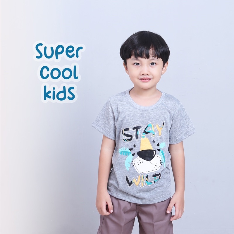 GUMKIDS KAOS ANAK PREMIUM / TSHIRT TEE ANAK / ATASAN BAJU ANAK GOLD &amp; SILVER SERIES