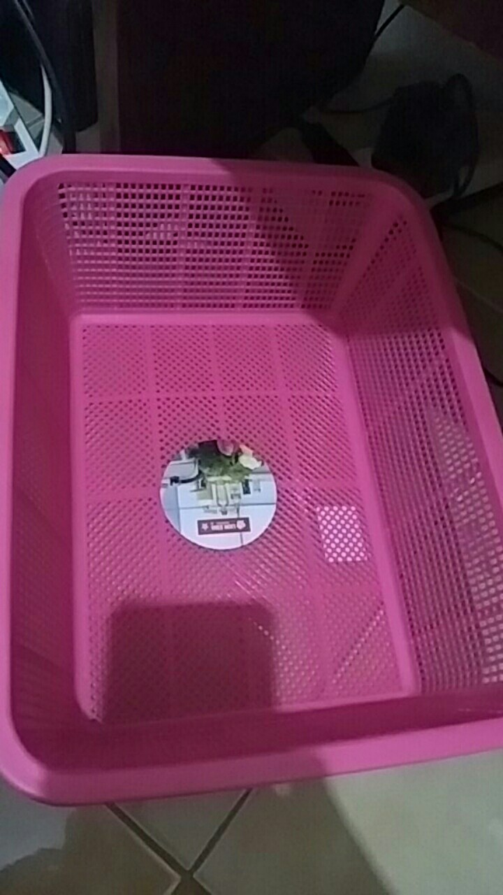 Keranjang Plastik Peniris Buah-buahan Serbaguna Square Baket Small Bw-26 Tempat Sayuran Murah