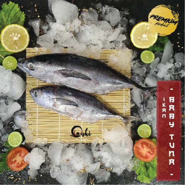 Ikan Baby Tuna Segar / Ikan Baby Tuna Beku / Ikan Segar Kiloan / Ekoran 500 - 600 gr