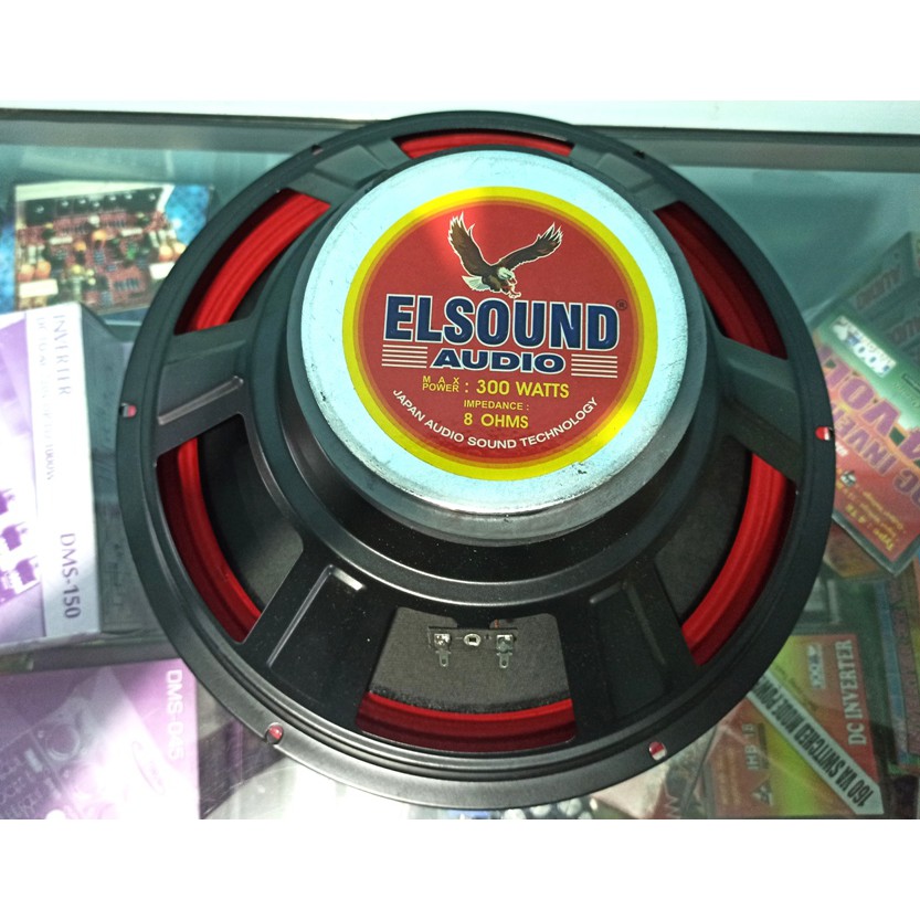 PROFESIONAL LOAD SPEAKER ELSOUND AUDIO 12INCH 300W FULLRANGE