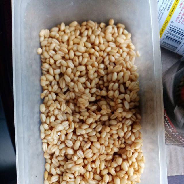 Biji Gandum Berat 1 Kg Import Dari Maroko