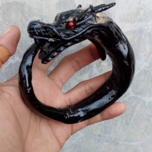 akar bahar hitam naga jumbo