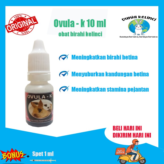 OVULA K KELINCI OBAT MENINGKATKAN BIRAHI KELINCI BETINA PENYUBUR 10 ML