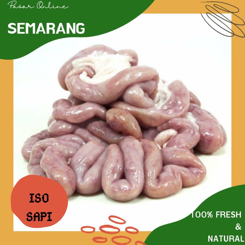 Iso Sapi / Jeroan Sapi Segar / Fresh / Daging Sapi Semarang / Belanja Daging Semarang