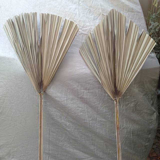 

Dried palm
