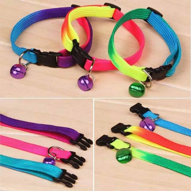 Kalung rainbow 1cm wrn sembur dg lonceng aksesoris collar kucing anjing kelinci murah simpel cantik