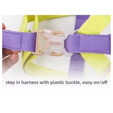 Harness Anjing Dengan Tali Tuntun Warna Warni Ombre