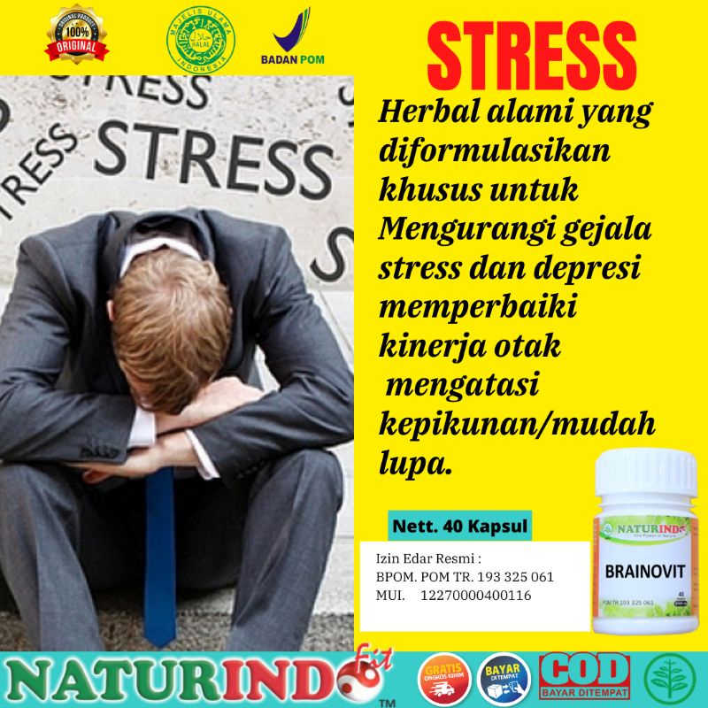 Obat Herbal Stres paling ampuh Obat Insomnia Obat Susah Tidur Obat Stres Berat