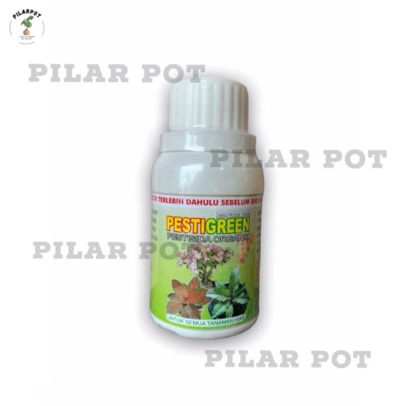 pestisida organik PESTIGREEN 100 ML - pembasmi hama kutu putih daun