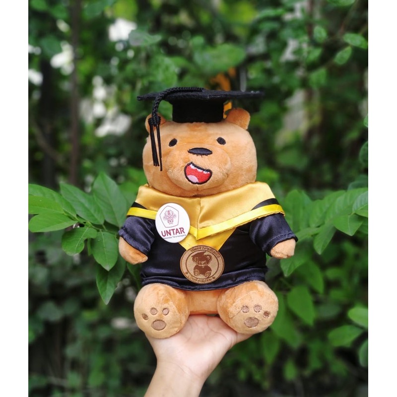 Medium Grizzly WBB 25cm Kostum Wisuda