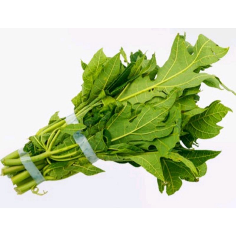 

Daun Pepaya fresh/ikat