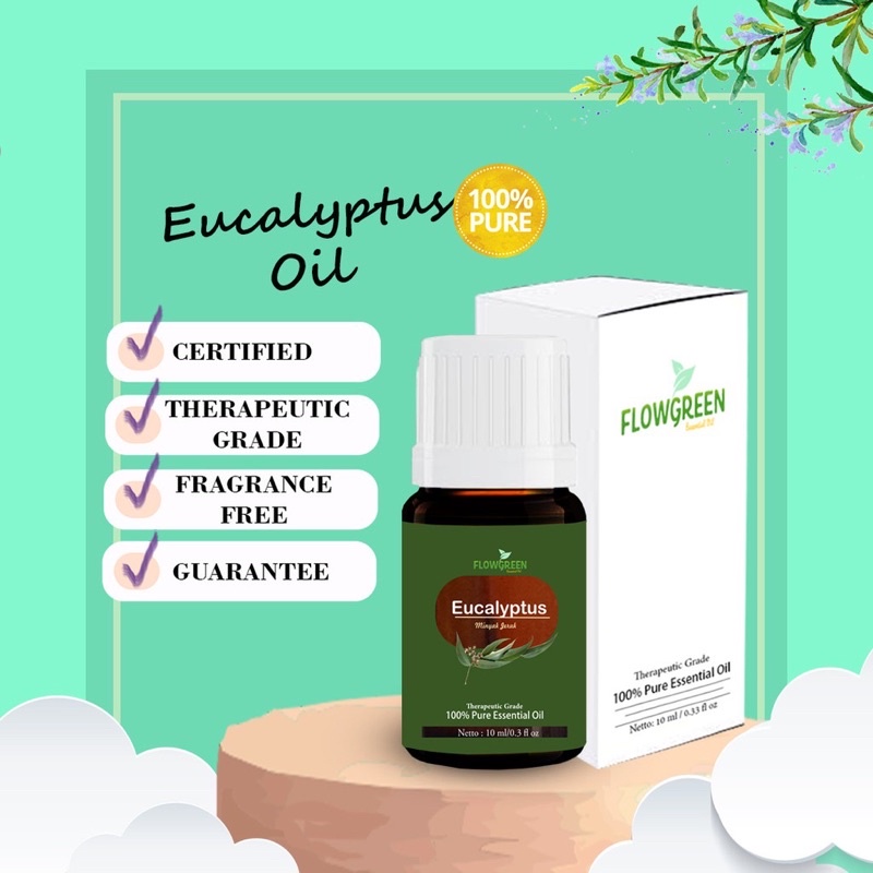 Eucalyptus Essential Oil Flowgreen Diffuser Humidifier - Minyak Essential Aromaterapi