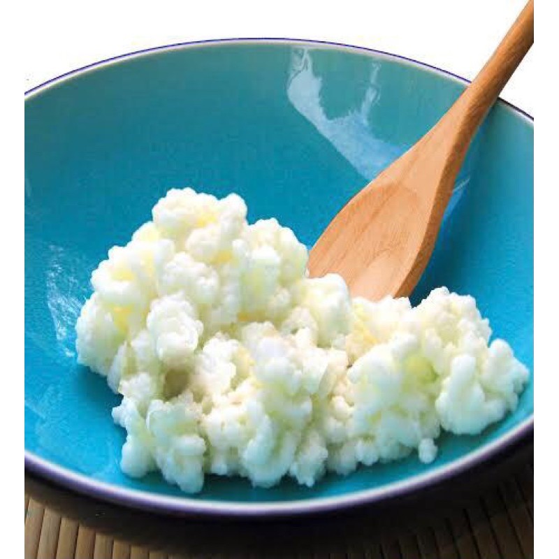 

King Kefir Grain