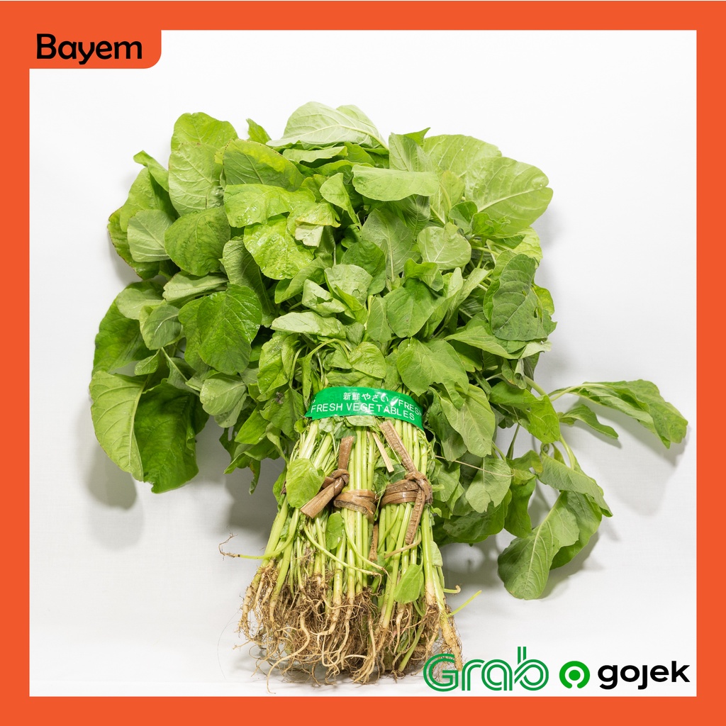 

Bayem Segar 1 gabung