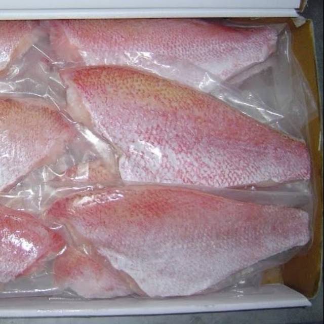 

Ikan Kakap Merah Frozen 1000gr