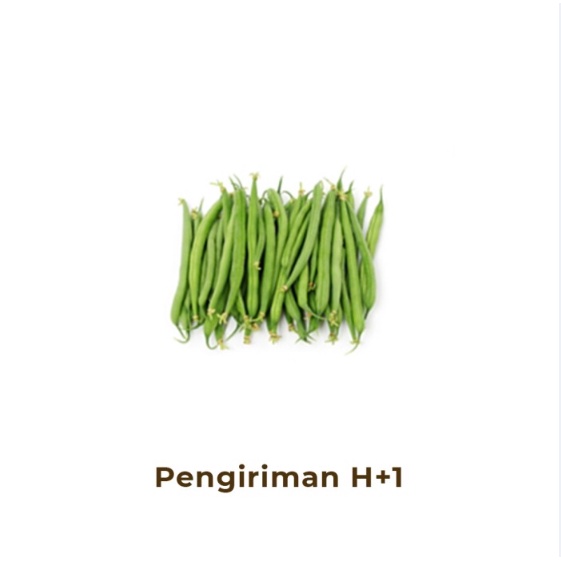 

Baby Buncis Green Bean Fresh