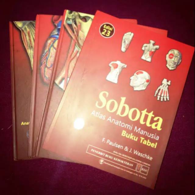 SOBOTTA  ed 23 atlas tubuh manusia (bahasa indonesia) NEGO