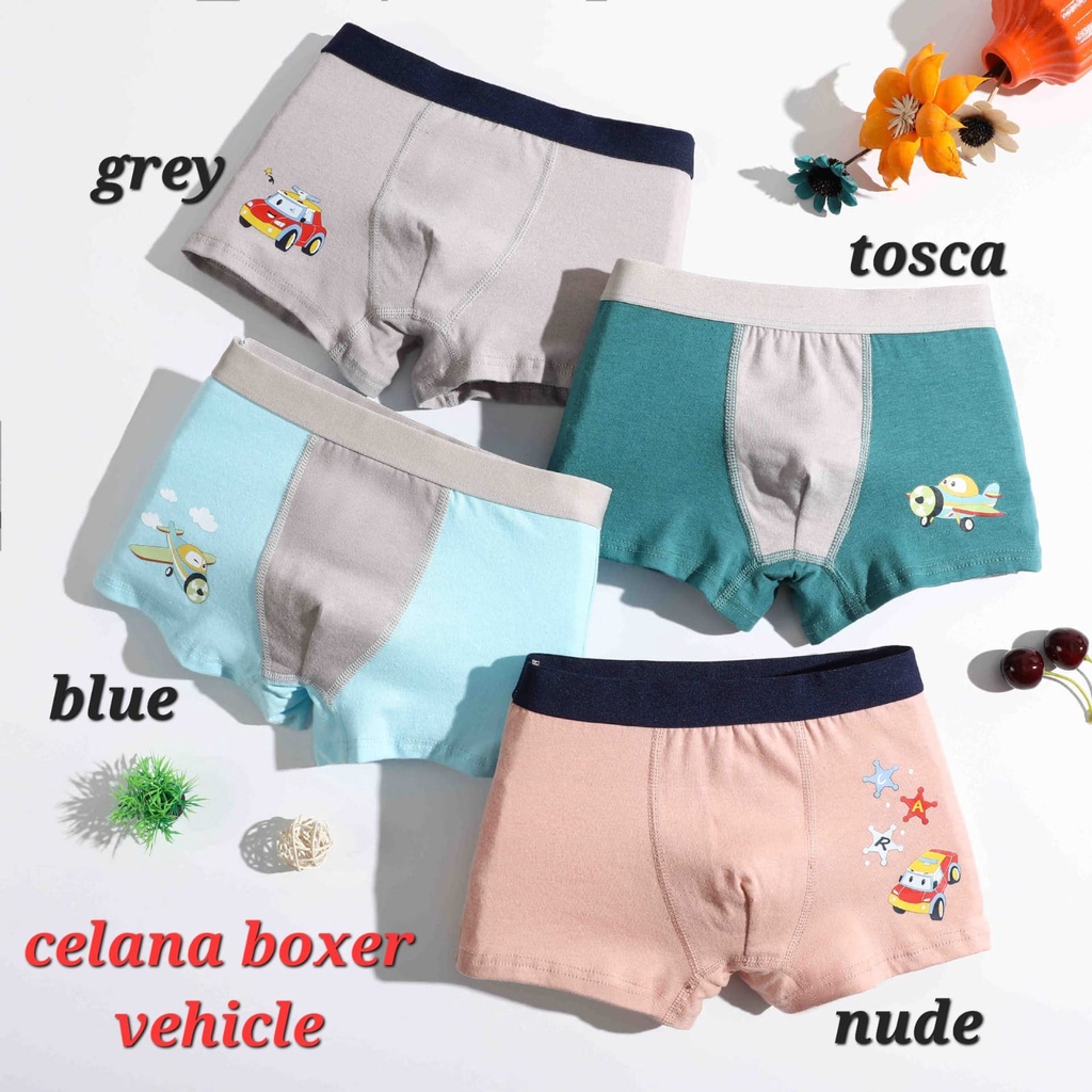 CELANA DALAM BOXER ANAK COWOK ANAK LAKI LAKI IMPOR PAKAIAN DALAM