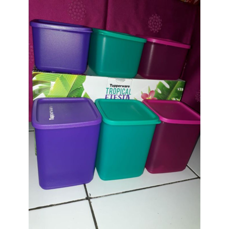 Tropical Fiesta Set(6pcs)