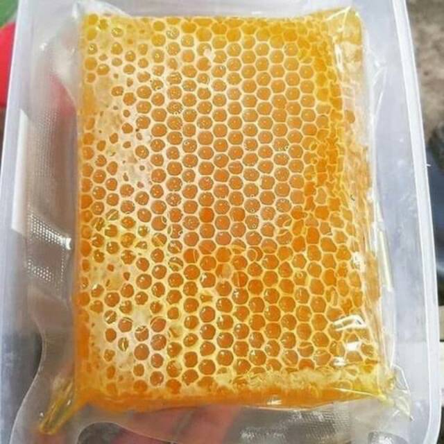 Madu sarang asli murah dan berkualitas