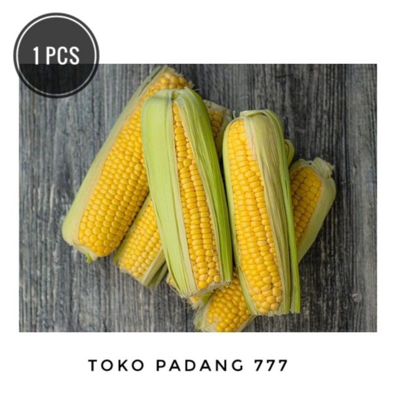 

Jagung