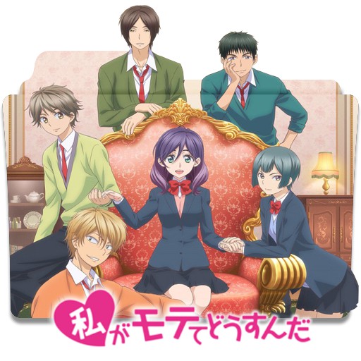 Dvd Anime Watashi ga Motete Dousunda
