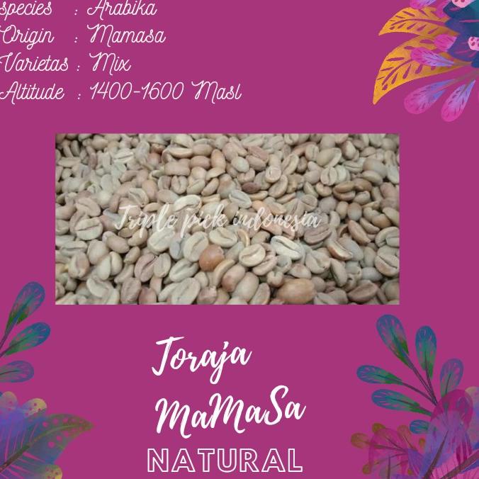 

green bean / Biji kopi arabika toraja mamasa - natural