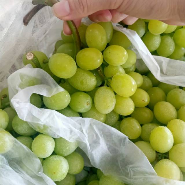 

Anggur hijau muscat curah