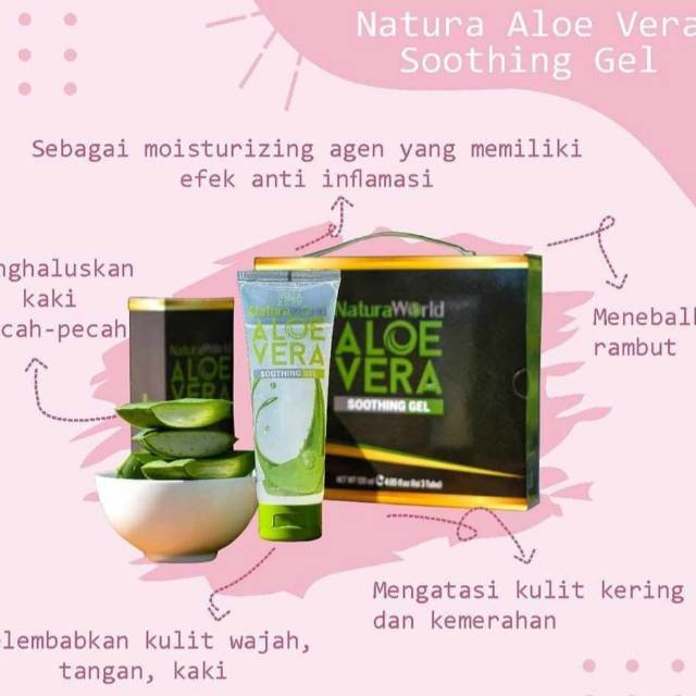READY ALOE VERA NATURA ORIGINAL ASLI