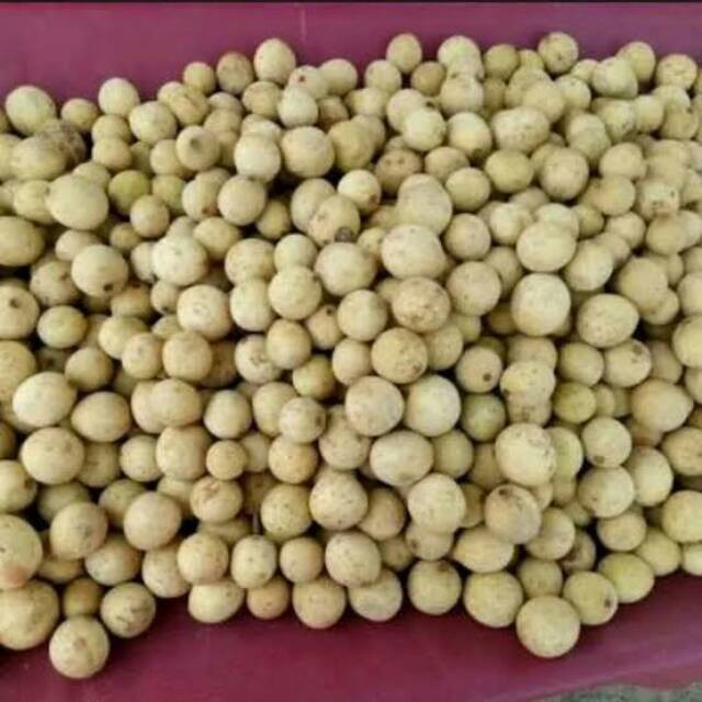 

DUKU PALEMBANG