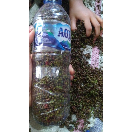

Andaliman Promo 1kg