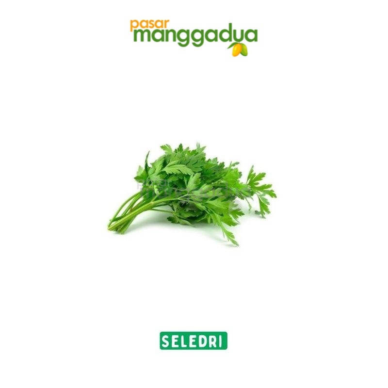 

FRESH !!! Daun Seledri Per Ikat / Sayur Segar