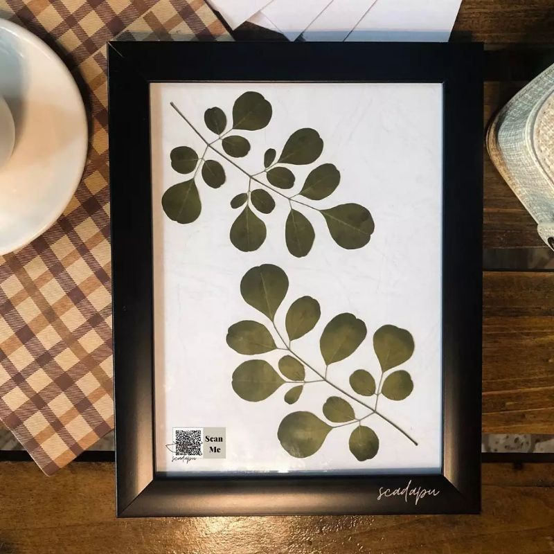 [Ofera] Limited Pressed Flowers Frame - Hiasan/Dekorasi Dinding Aesthetic