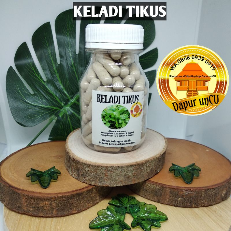 

KELADI TIKUS, 100 Kapsul. ( di buat ketika ada pesanan, sehingga produk selalu baru..)