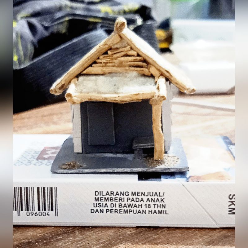 miniatur rumah aquascape COD