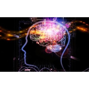 CD Terapi Gelombang Otak untuk meningkatkan Kecerdasan Otak  TL-462