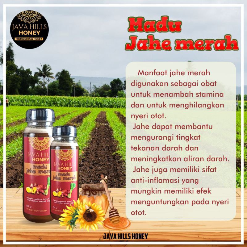 

MADU JAHE MERAH JAVAHILLS 100% Madu Murni